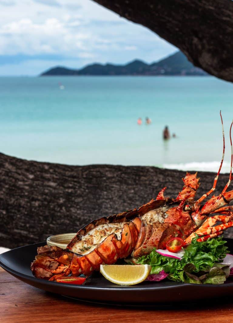 The Clean Eating Travel Playbook